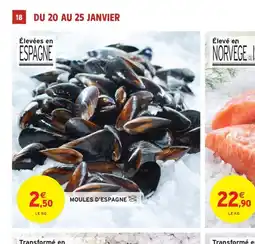 Intermarché Hyper Moules d'espagne offre