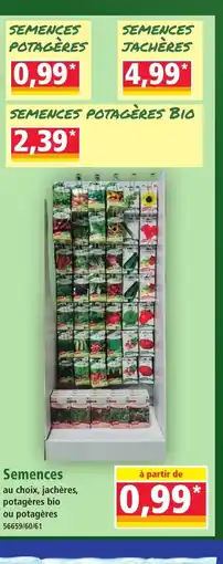 Norma Semences offre