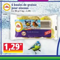 Norma 6 boules de graisse pour oiseaux offre