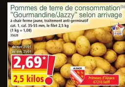 Norma Pommes de terre de consommation Gourmandine/Jazzy selon arrivage offre
