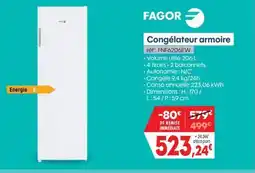 Pro&Cie FAGOR Congélateur armoire offre