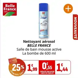 Coccinelle Supermarché BELLE FRANCE Nettoyant aérosol offre