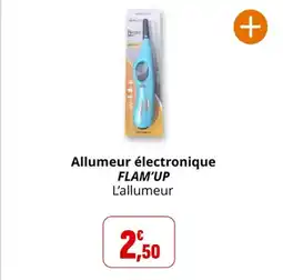 Coccinelle Supermarché FLAM'UP Allumeur électronique offre