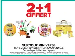 Carrefour Sur tout miniverse offre