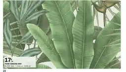 E.Leclerc Brico Pv/int sumatra vert offre