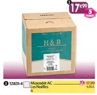 Maximo Muscadet ac les noëlles offre