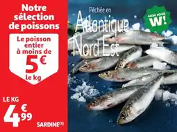 Auchan Supermarché Sardine offre