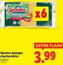 Lidl Spontex éponges stop bactéries offre