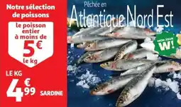 Auchan Sardine offre