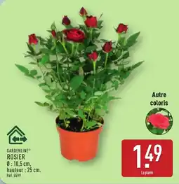 ALDI GARDENLINE Rosier offre