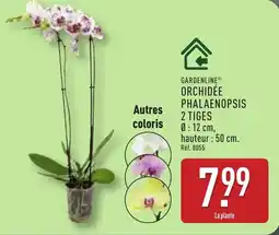 ALDI GARDENLINE Orchidée phalaenopsis 2 tiges offre
