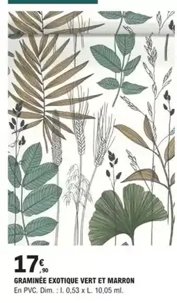 E.Leclerc Brico Dim - graminee exotique vert et marron offre