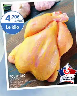 Gel 2000 Poule pac offre