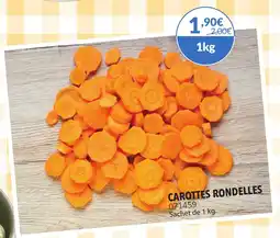 Gel 2000 Carottes rondelles offre