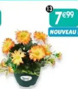 Maximo Pot d'anthémis offre