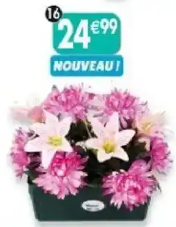 Maximo Jardinière de tokyo et lys offre