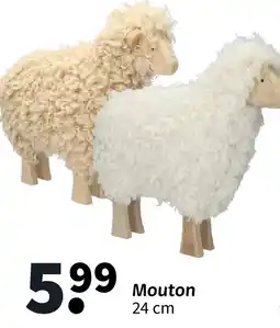 Wibra Mouton offre