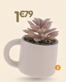 b&m Succulente dans pot mug offre