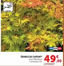 Carrefour La boîte offre