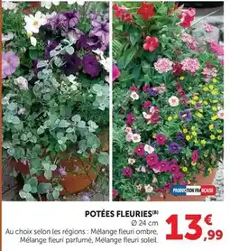 Carrefour Donuts - 4 micro blanc confetti la boite de offre