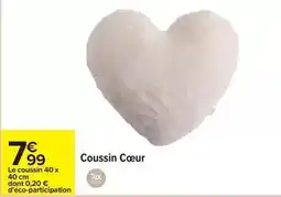 Carrefour Tex - coussin coeur offre