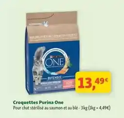 Maxi Zoo Purina - croquettes one offre