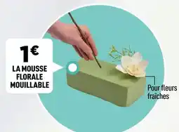 Intermarché Hyper Jean rosé - crépine de porc offre