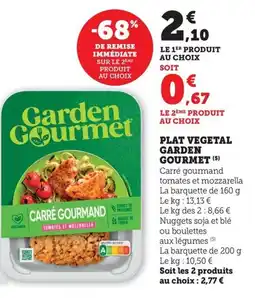 Bi1 Plat vegetal garden gourmet offre