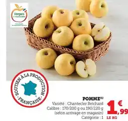 Maximarché Pomme offre