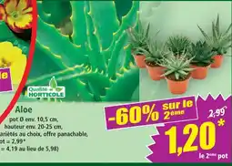 Norma Qualité horticole aloe offre