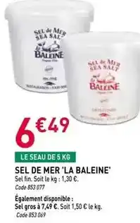 RAGT Jardin & Maison Sea - sel de mer offre