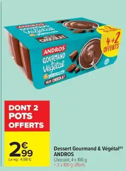 Carrefour Market Dessert gourmand & végétal andros offre