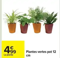 Carrefour Plantes vertes pot offre
