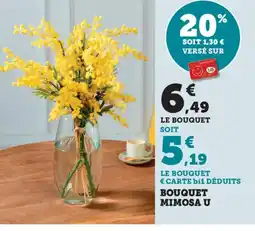 Bi1 U Bouquet mimosa offre