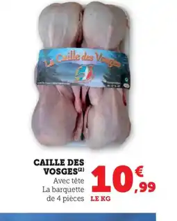 Bi1 Caille des vosges offre