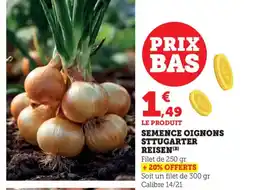 Bi1 Semence oignons sttugarter reisen offre