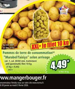 Norma Pommes de terre de consommation Marabel/Taisiya selon arrivage offre