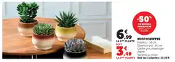 Super U Succulentes offre