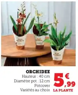 Super U Orchidee offre