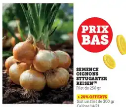 Super U Semence oignons sttugarter reisen offre