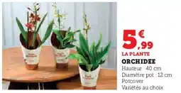 U Express Orchidee offre