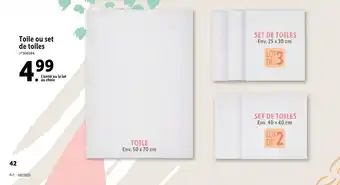 Lidl Toile ou set de toiles offre