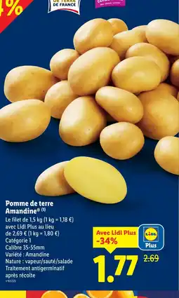 Lidl Pomme de terre Amandine offre
