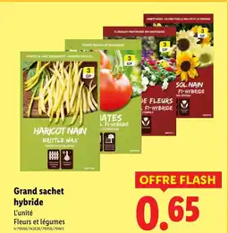 Lidl Grand sachet hybride offre