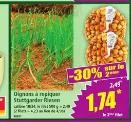 Norma Oignons à repiquer Stuttgarder Riesen offre