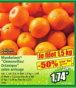 Norma Mandarines Clémenvillas Ortanique selon arrivage offre