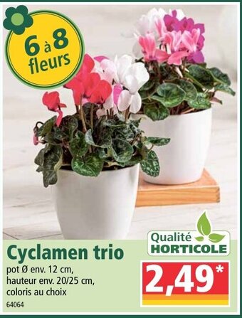 Norma Cyclamen trio offre