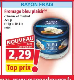 Norma Fromage bleu plaisir offre