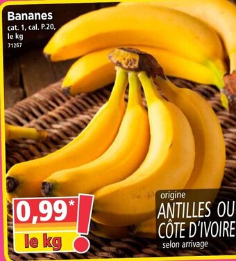 Norma Bananes offre