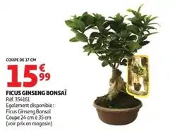 Auchan Ficus ginseng bonsaï offre